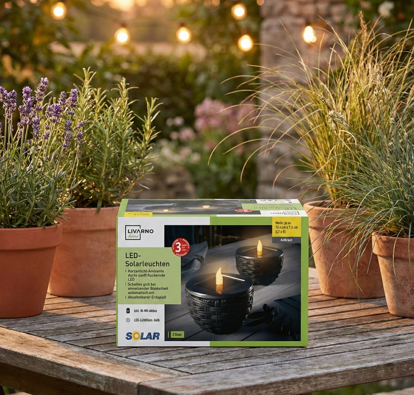 Livarno Home LED solar lights