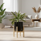 Livarno Home plant pot