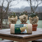 Parkside winter protection cover made of non-woven fabric