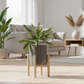 Livarno Home plant pot